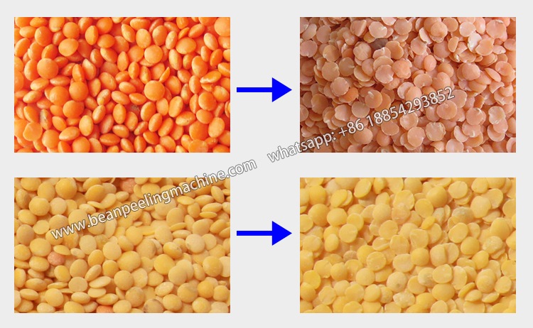 High quality yellow/red lentil splitting machine lentil processing machine